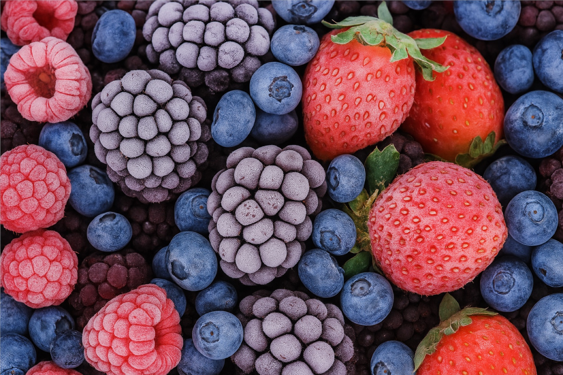 Fresh strawberries in soft natural light